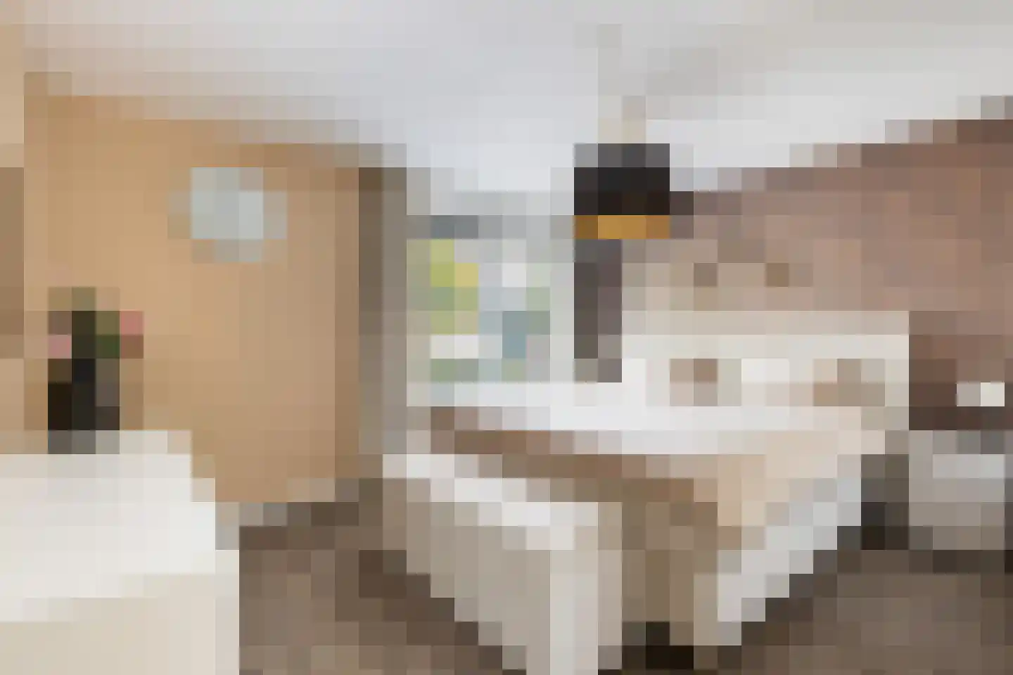Parnaskruid 9 Amersfoort thumbnail 28
