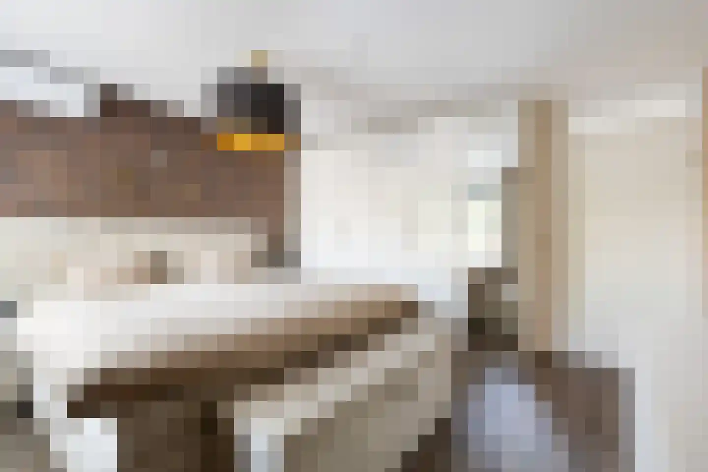 Parnaskruid 9 Amersfoort thumbnail 29