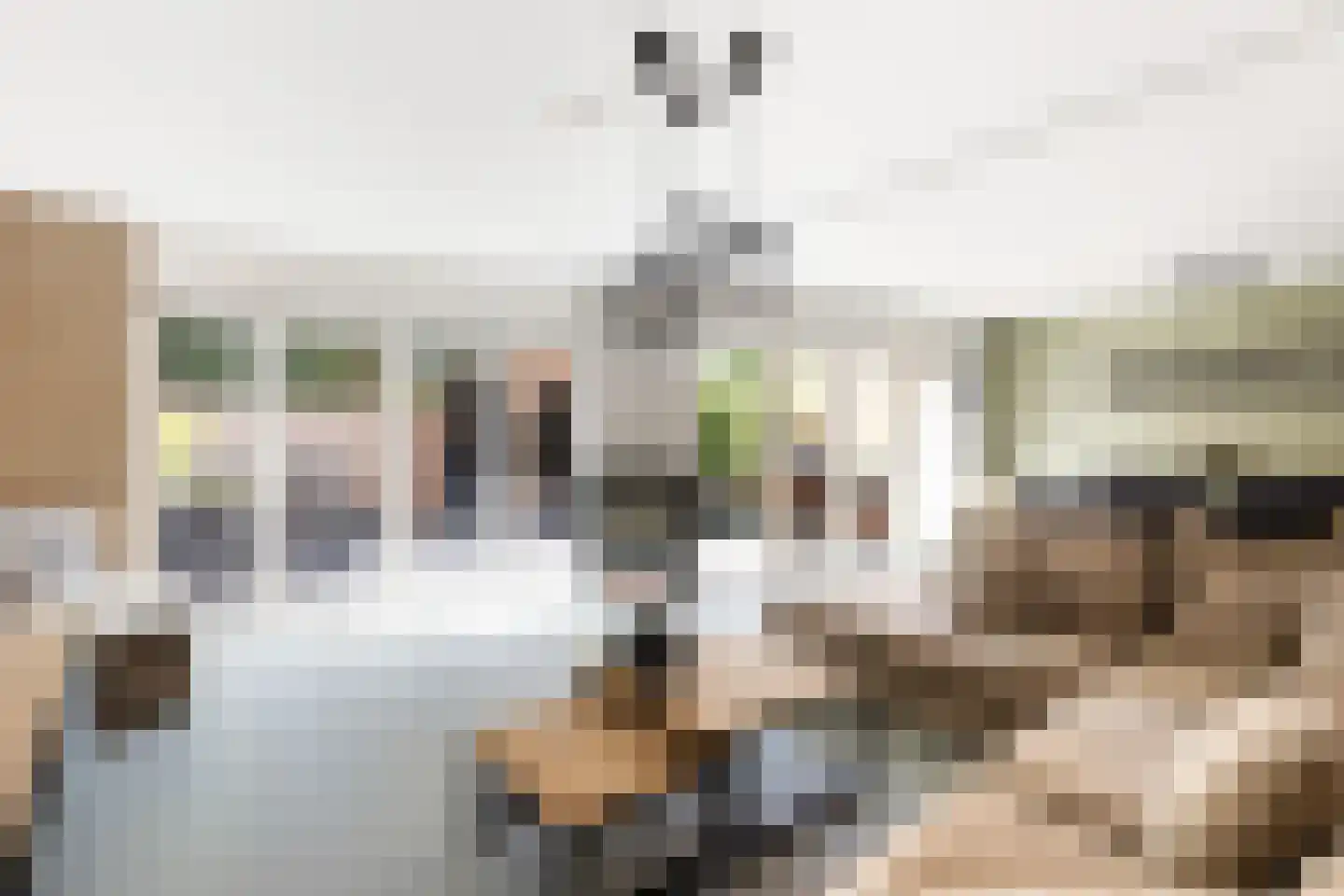 Parnaskruid 9 Amersfoort foto 3