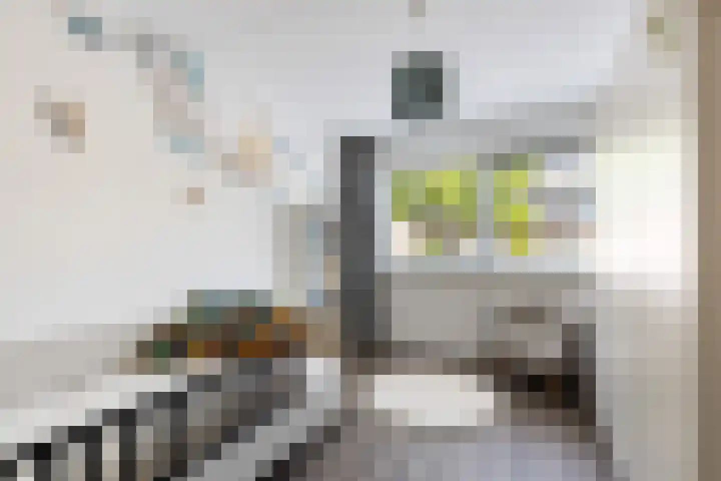 Parnaskruid 9 Amersfoort thumbnail 33