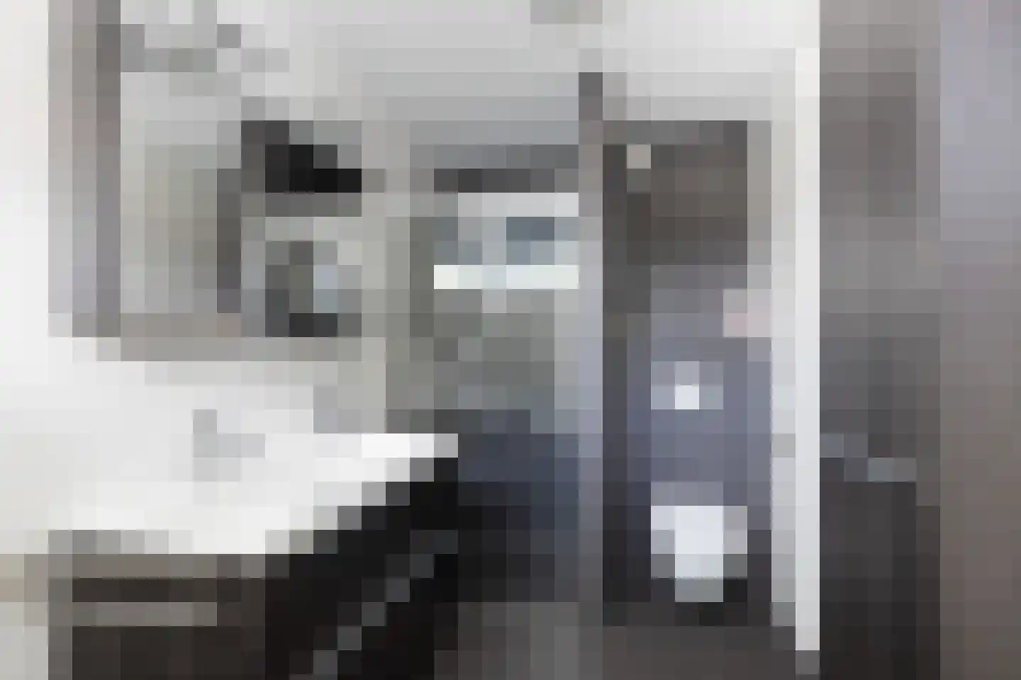 Parnaskruid 9 Amersfoort thumbnail 37
