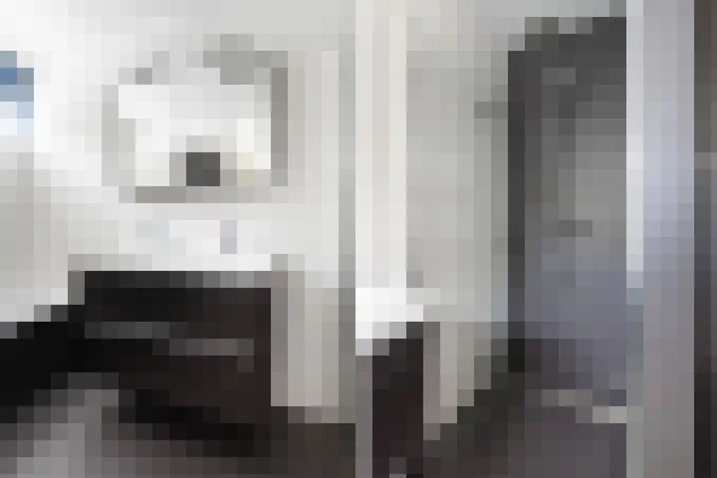 Parnaskruid 9 Amersfoort thumbnail 38