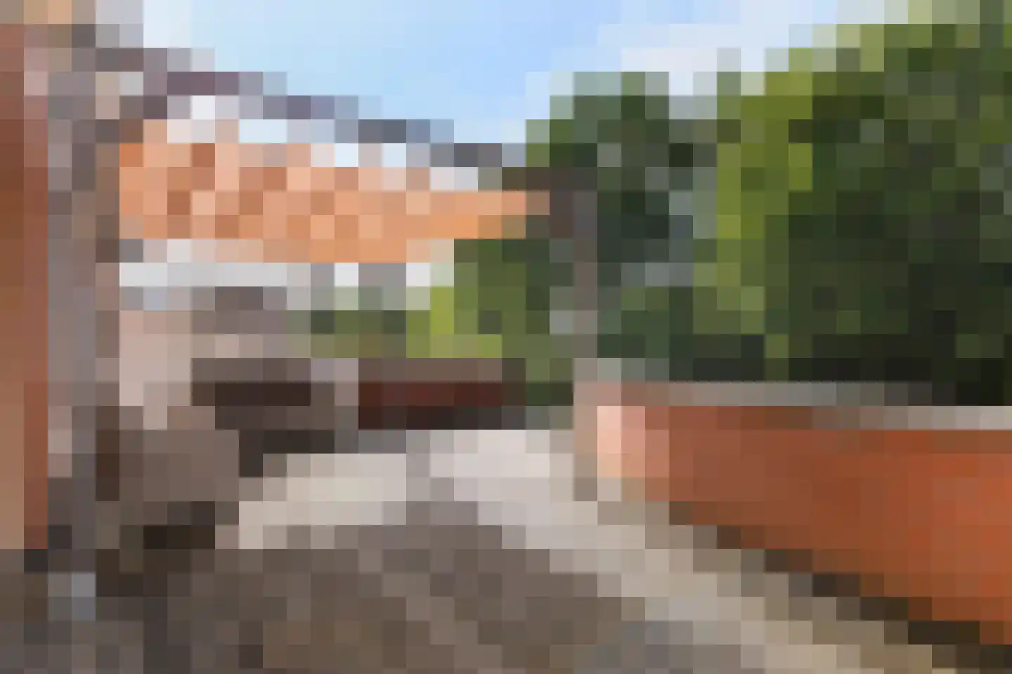 Parnaskruid 9 Amersfoort thumbnail 39