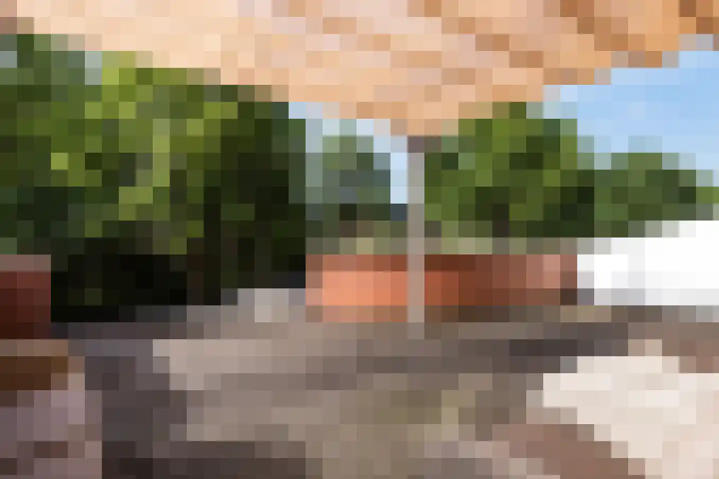 Parnaskruid 9 Amersfoort thumbnail 40
