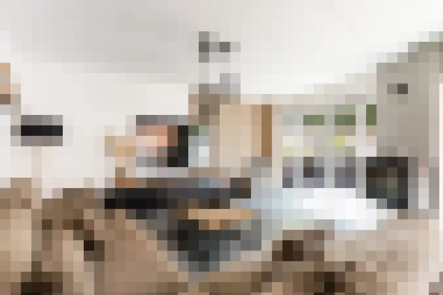 Parnaskruid 9 Amersfoort thumbnail 5