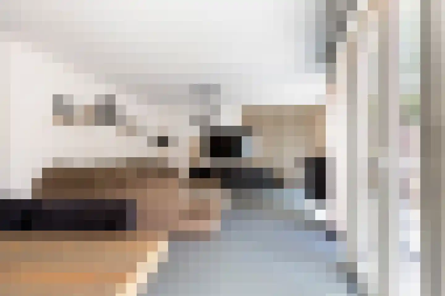 Parnaskruid 9 Amersfoort thumbnail 6