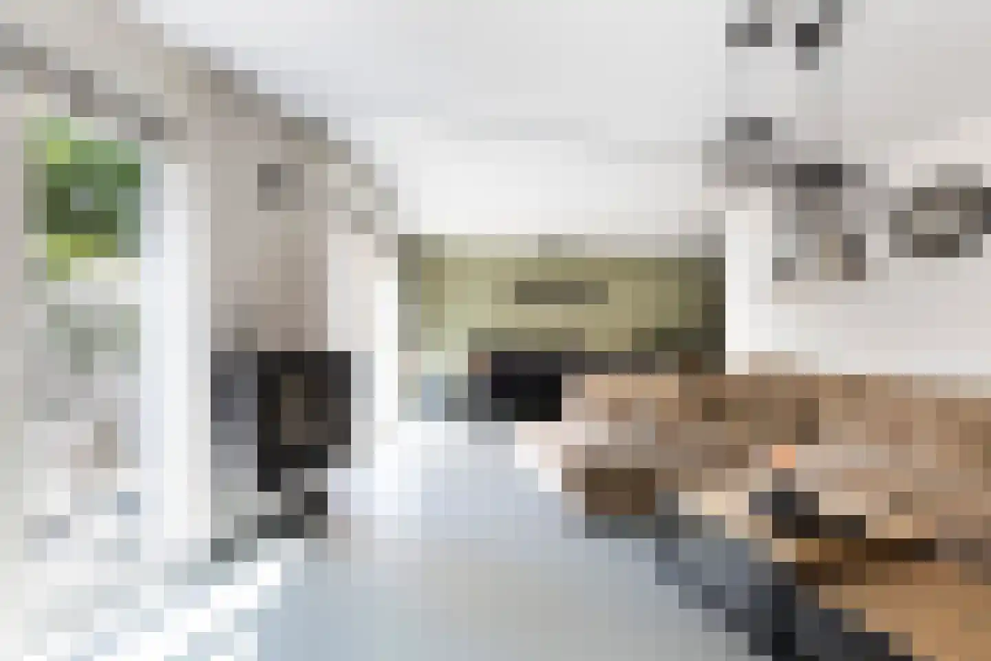 Parnaskruid 9 Amersfoort thumbnail 8