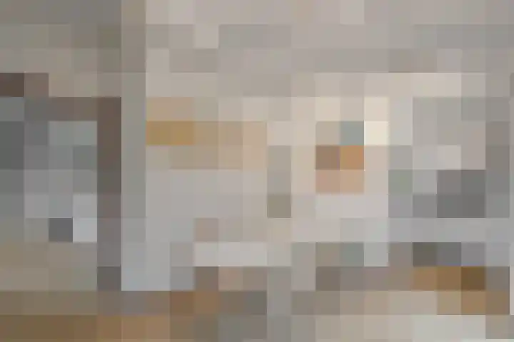 Parnassia 13 Julianadorp thumbnail 10