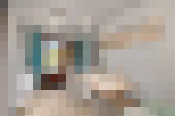 Parnassia 13 Julianadorp thumbnail 11