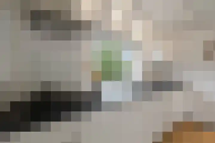 Parnassia 13 Julianadorp thumbnail 13