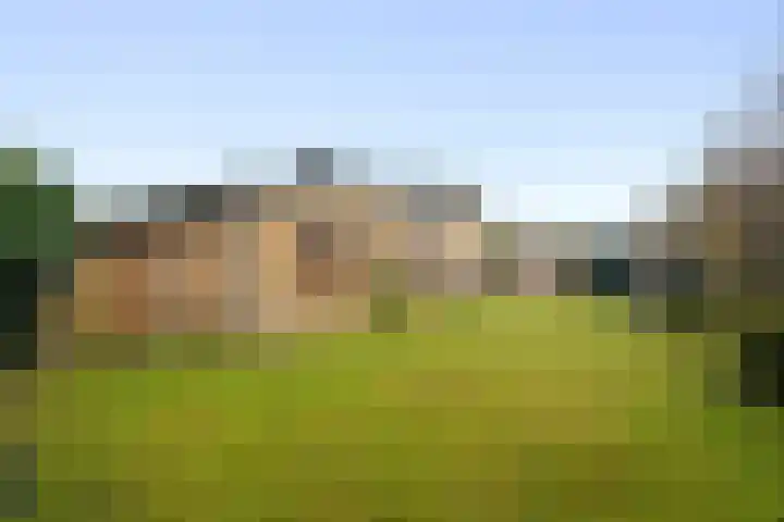 Parnassia 13 Julianadorp thumbnail 20