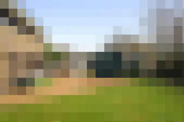 Parnassia 13 Julianadorp thumbnail 24