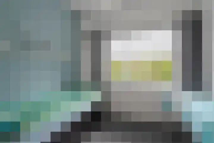 Parnassia 13 Julianadorp thumbnail 8