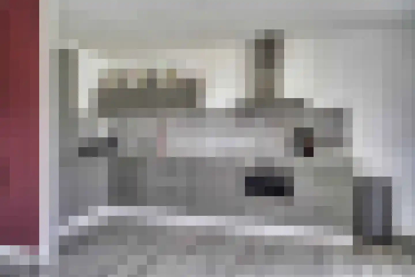 Parnassia 257 Katwijk thumbnail 4