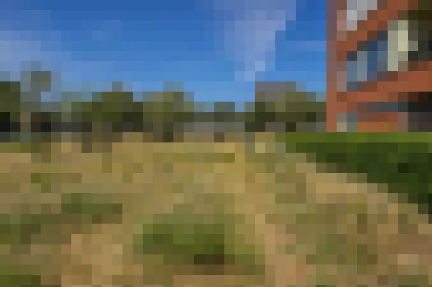 Parnassia 275 Katwijk thumbnail 29