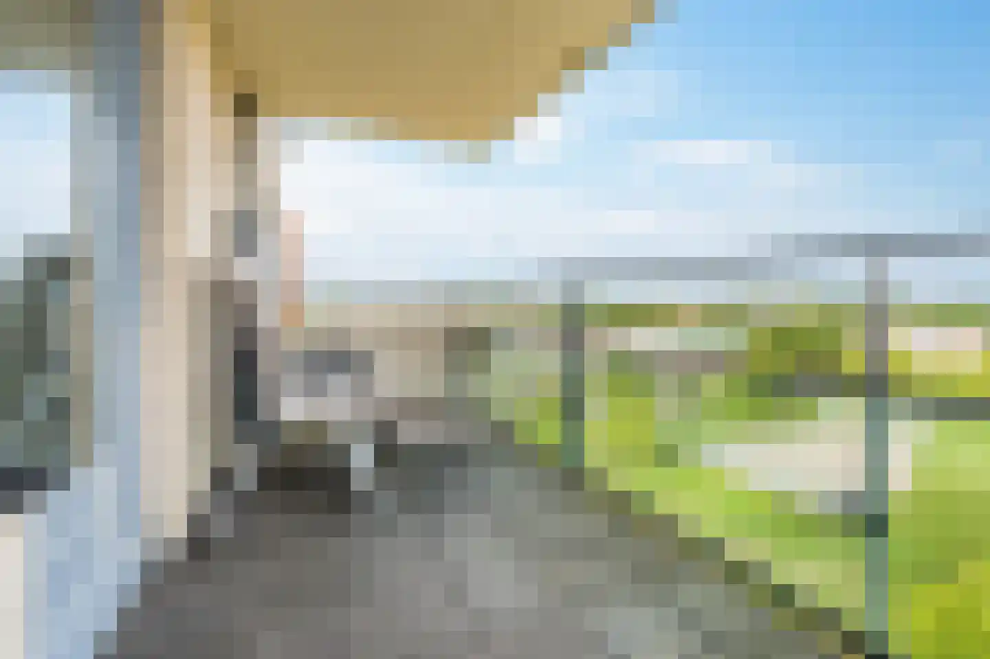 Parnassia 289 Katwijk thumbnail 7