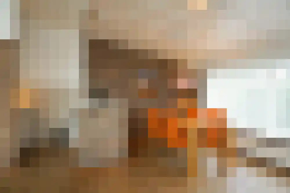 Parnassia 34 Julianadorp thumbnail 10