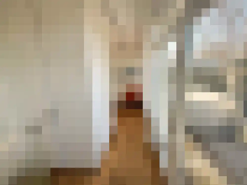 Parnassia 34 Julianadorp thumbnail 15