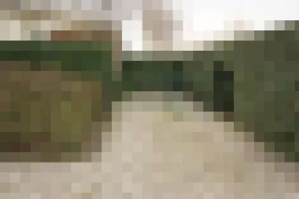 Parnassia 34 Julianadorp thumbnail 24
