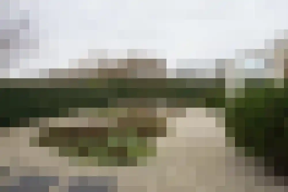 Parnassia 34 Julianadorp thumbnail 25