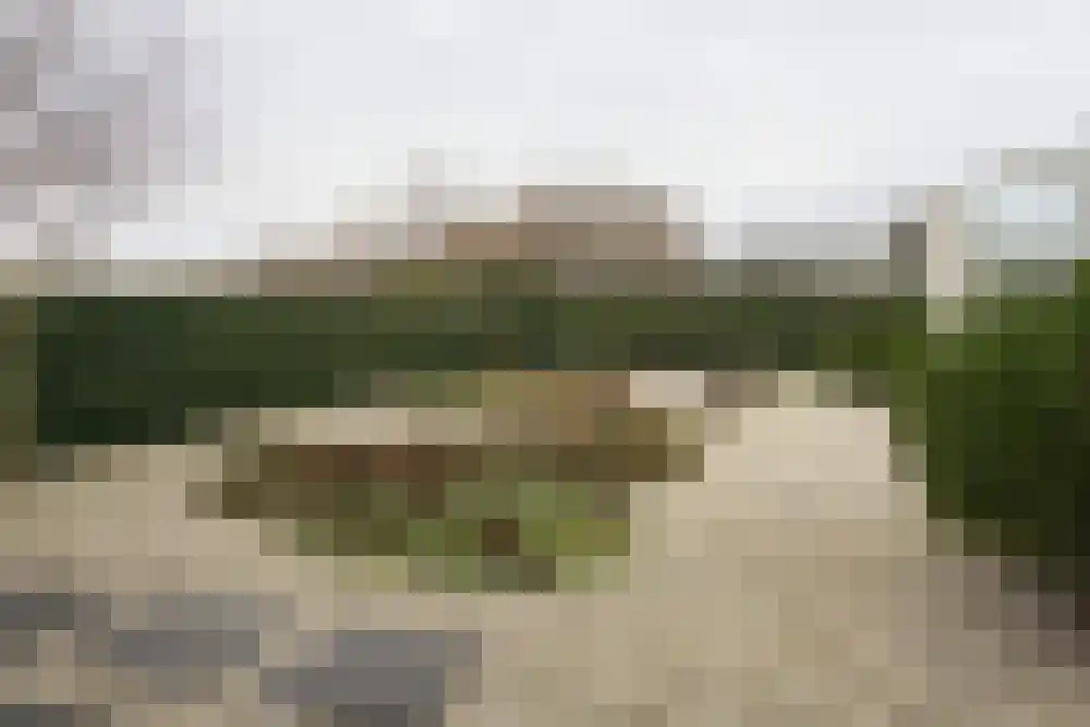 Parnassia 34 Julianadorp thumbnail 27
