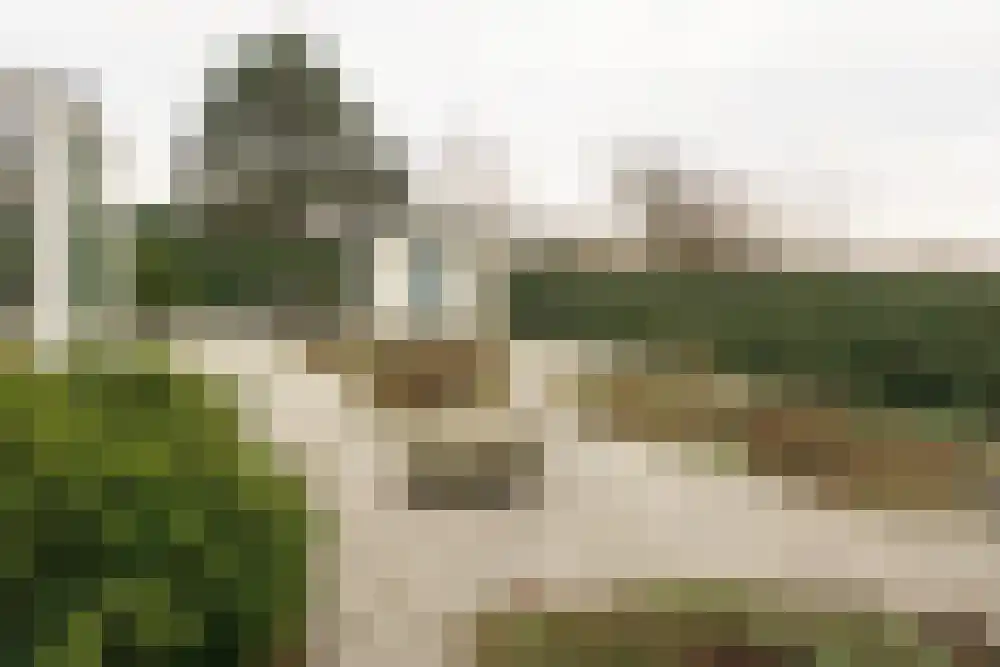 Parnassia 34 Julianadorp thumbnail 29