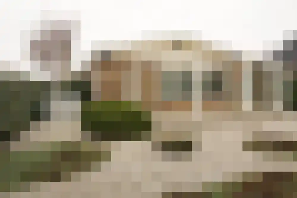 Parnassia 34 Julianadorp thumbnail 30