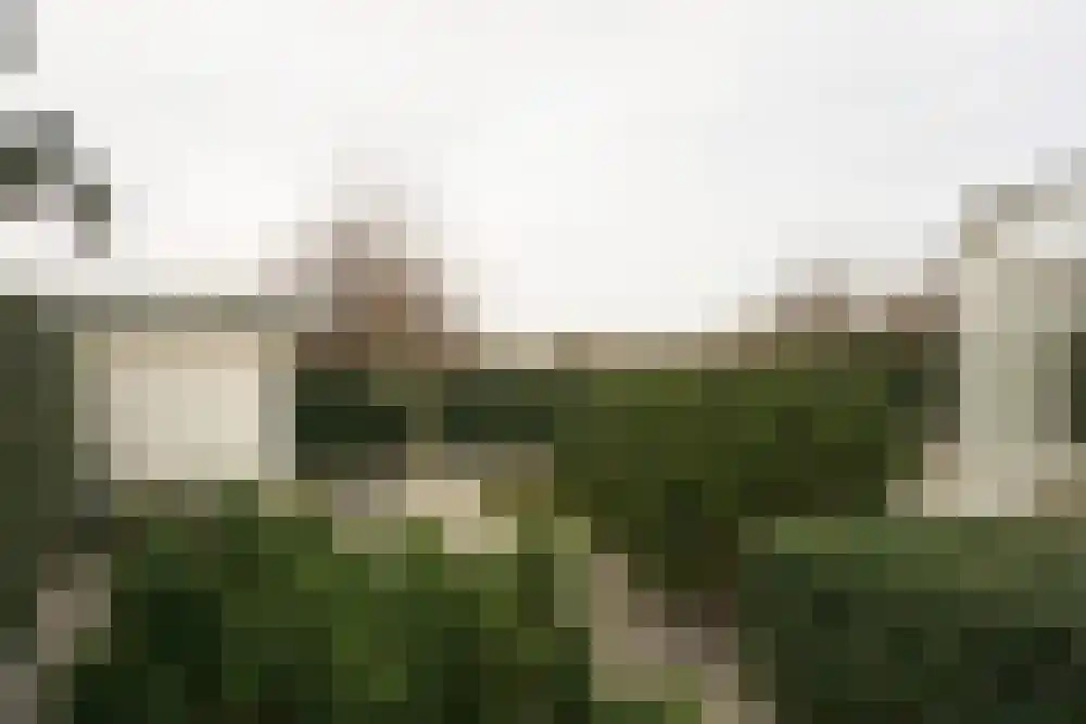 Parnassia 34 Julianadorp thumbnail 33