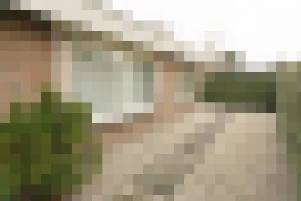 Parnassia 34 Julianadorp thumbnail 34