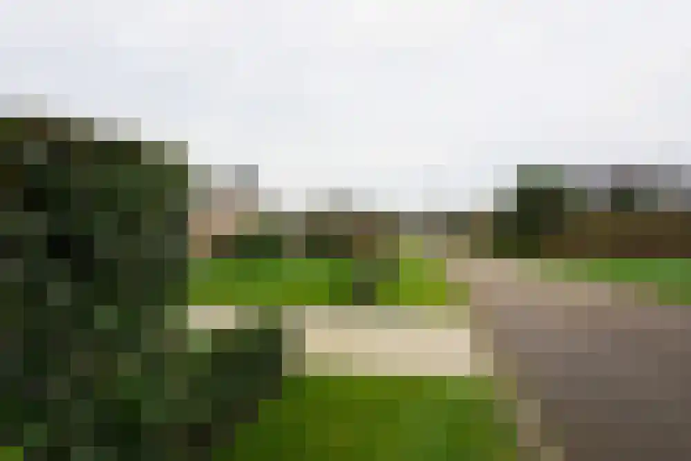 Parnassia 34 Julianadorp thumbnail 35
