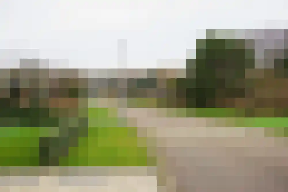 Parnassia 34 Julianadorp thumbnail 36