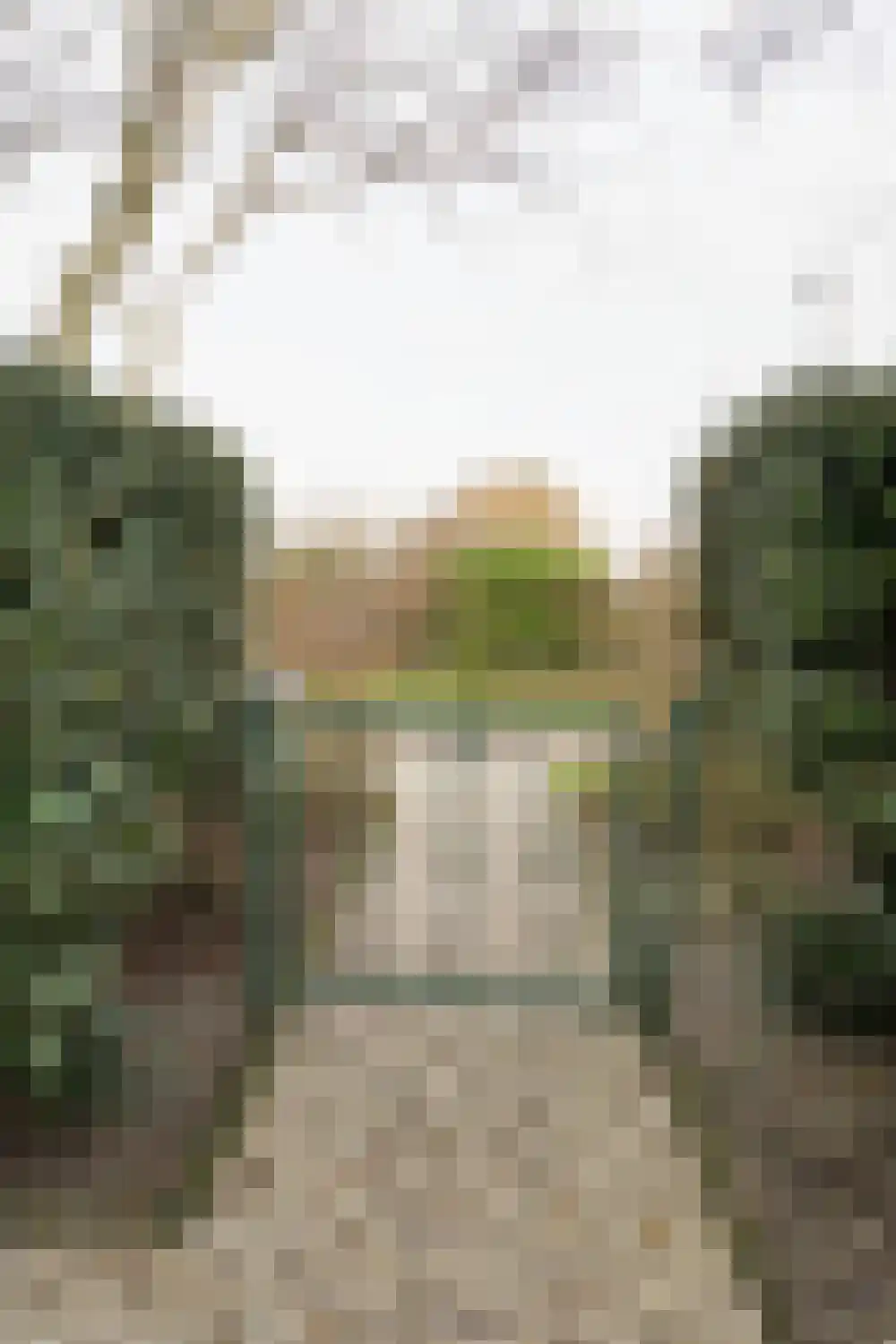 Parnassia 34 Julianadorp thumbnail 37