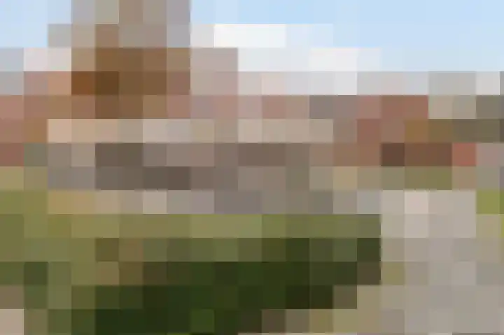 Parnassia 389 Katwijk thumbnail 37