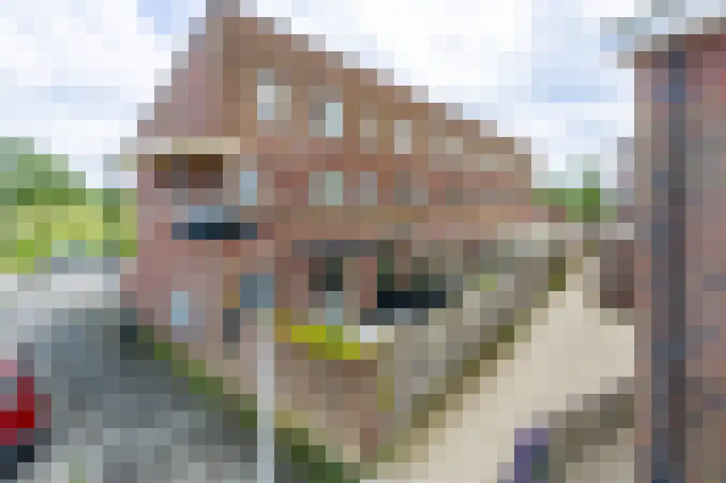 Parnassia 397 Katwijk thumbnail 25