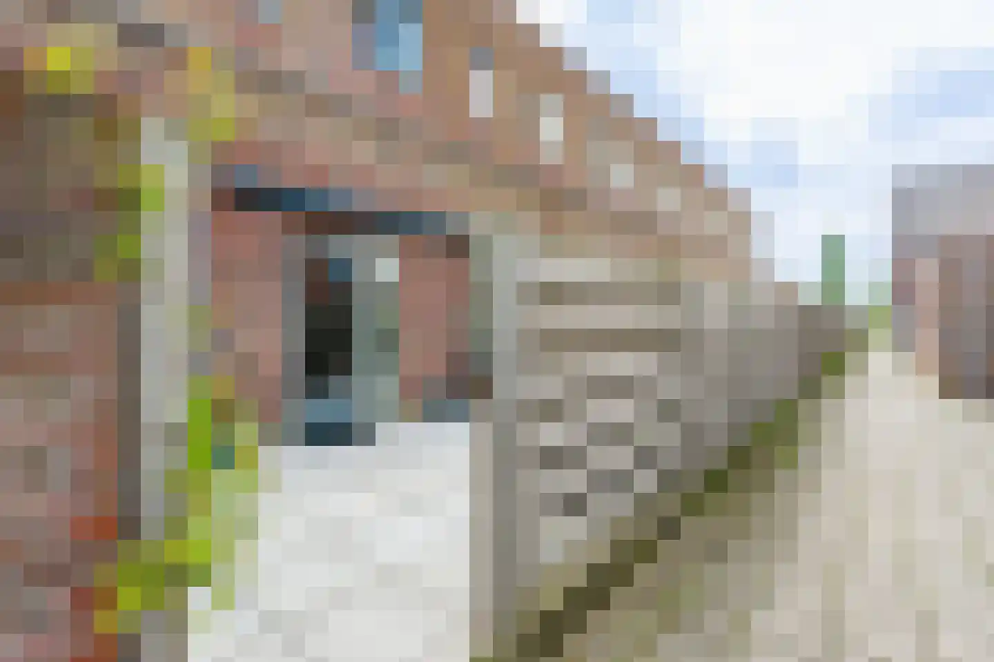 Parnassia 397 Katwijk thumbnail 26