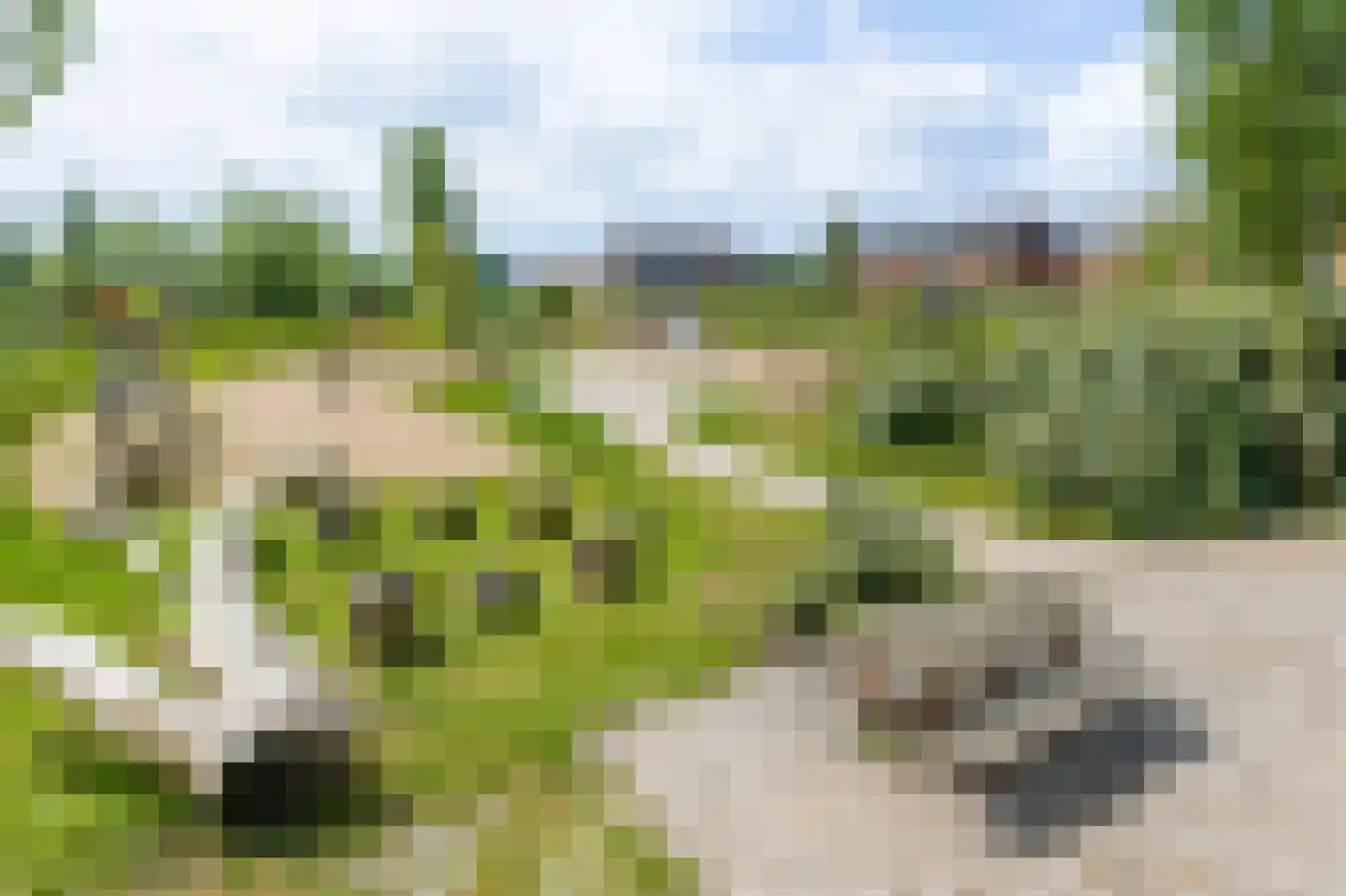 Parnassia 397 Katwijk thumbnail 27