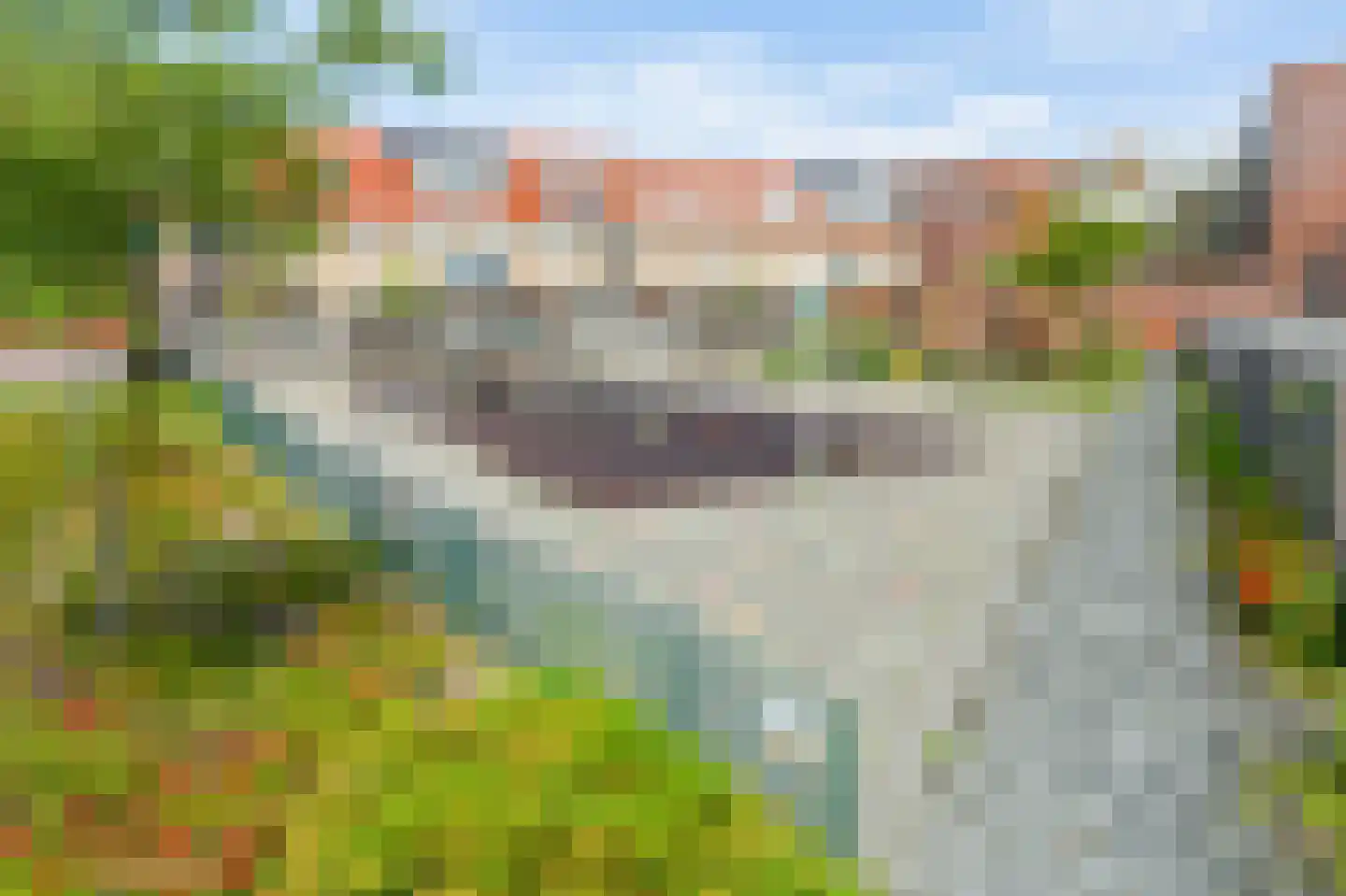 Parnassia 397 Katwijk thumbnail 29