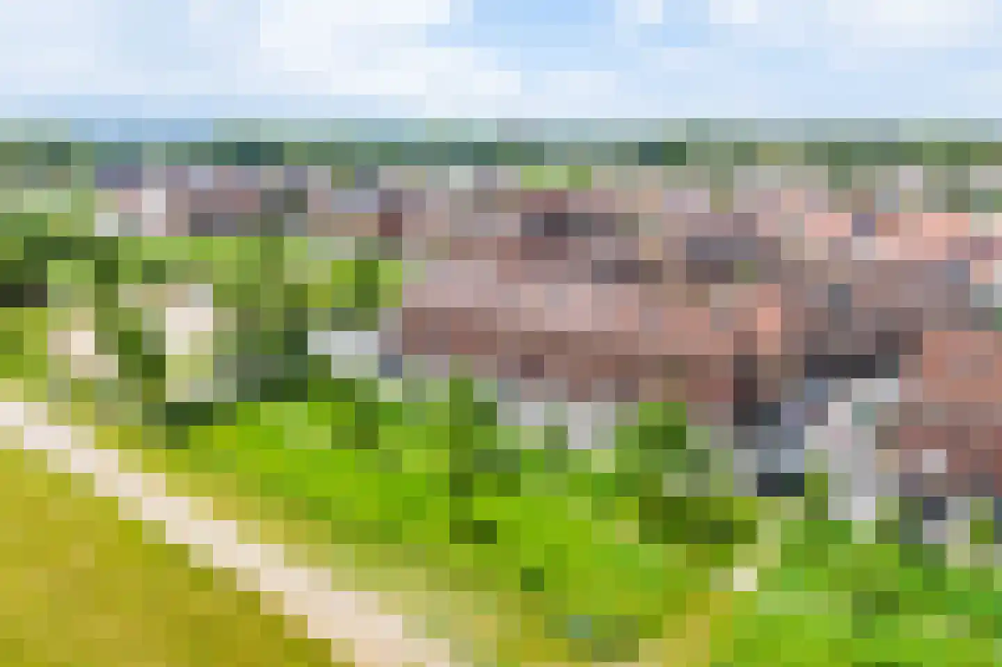 Parnassia 397 Katwijk thumbnail 31