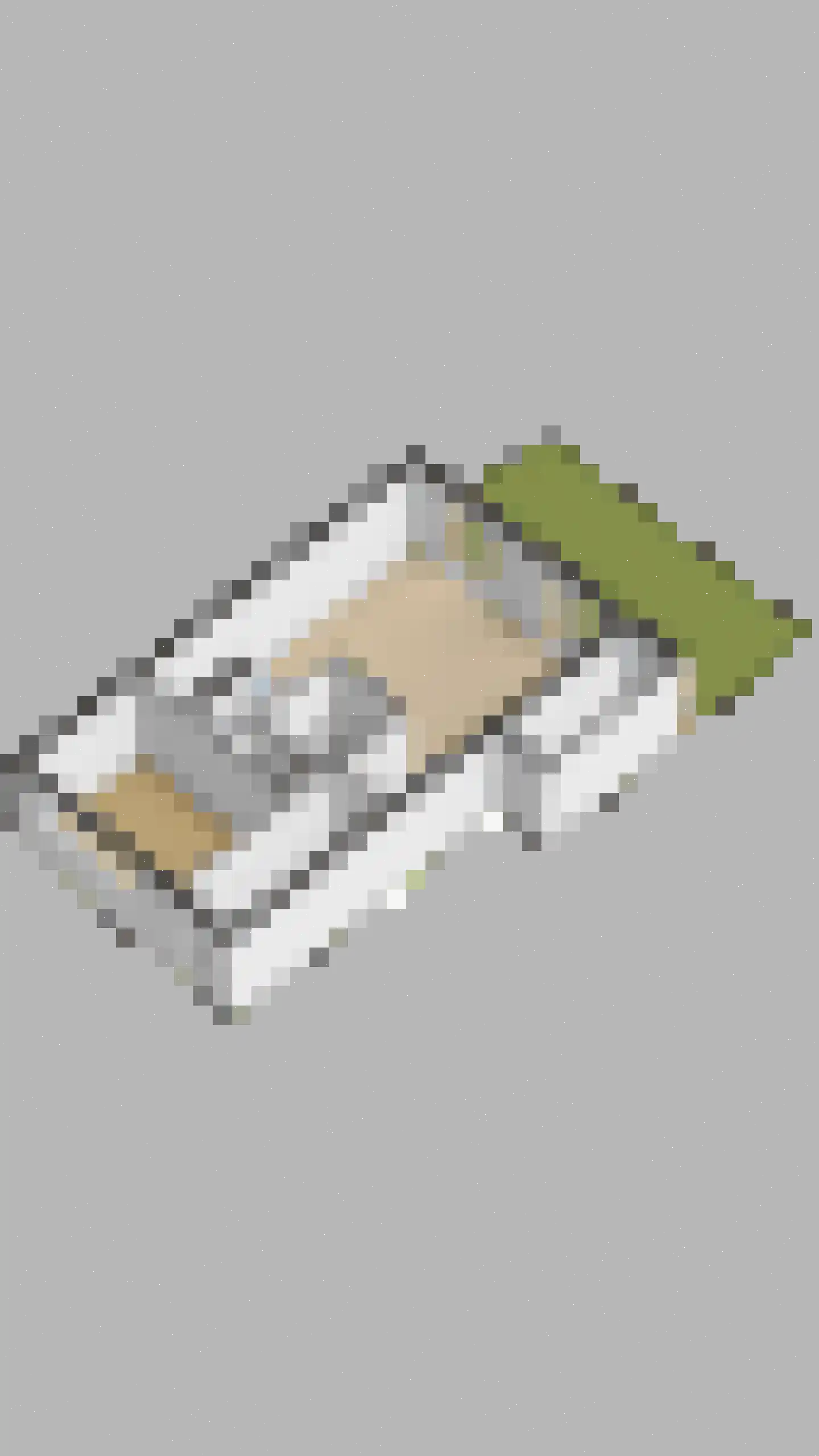 Parnassia 397 Katwijk thumbnail 41