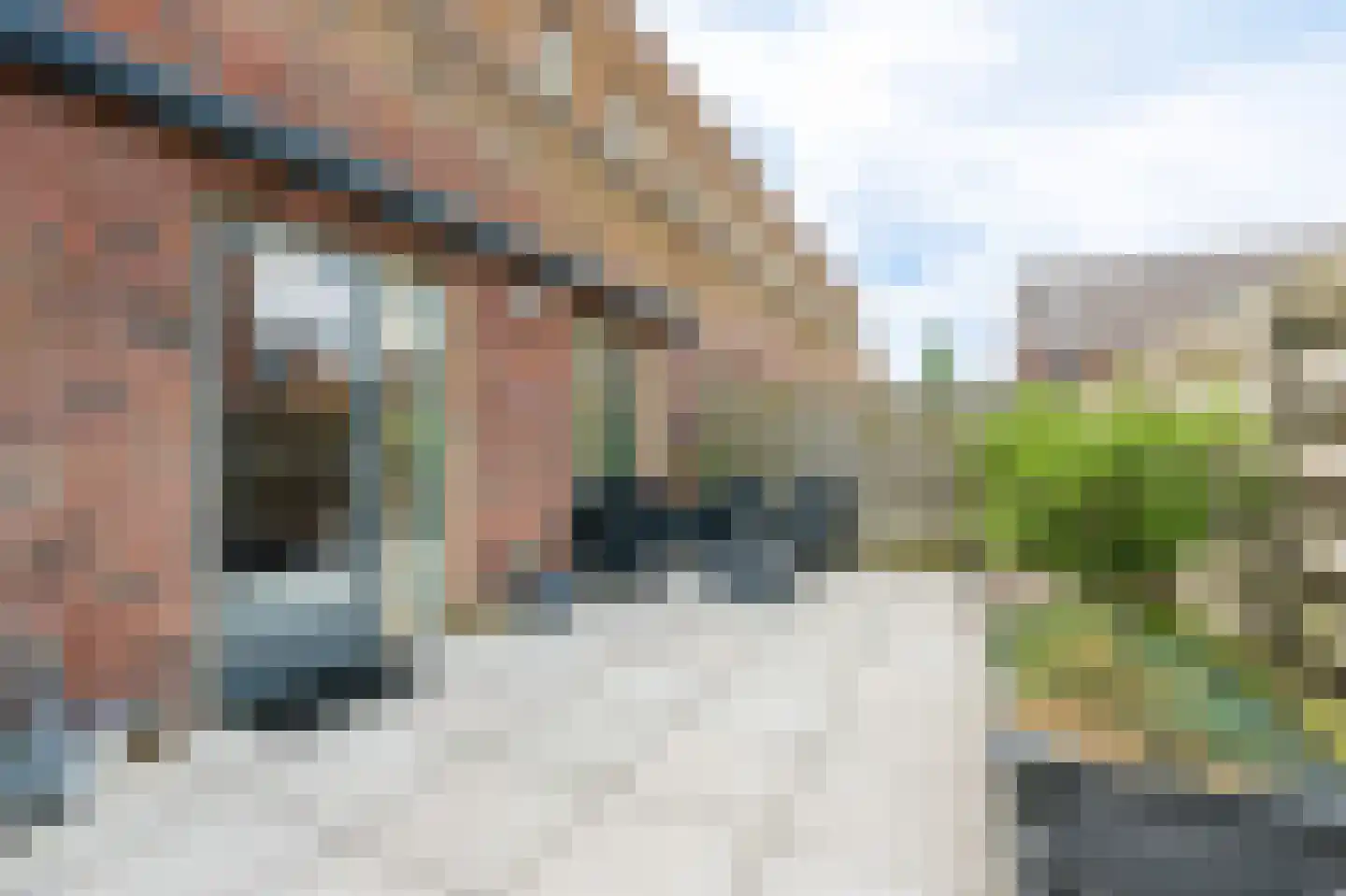 Parnassia 397 Katwijk thumbnail 6