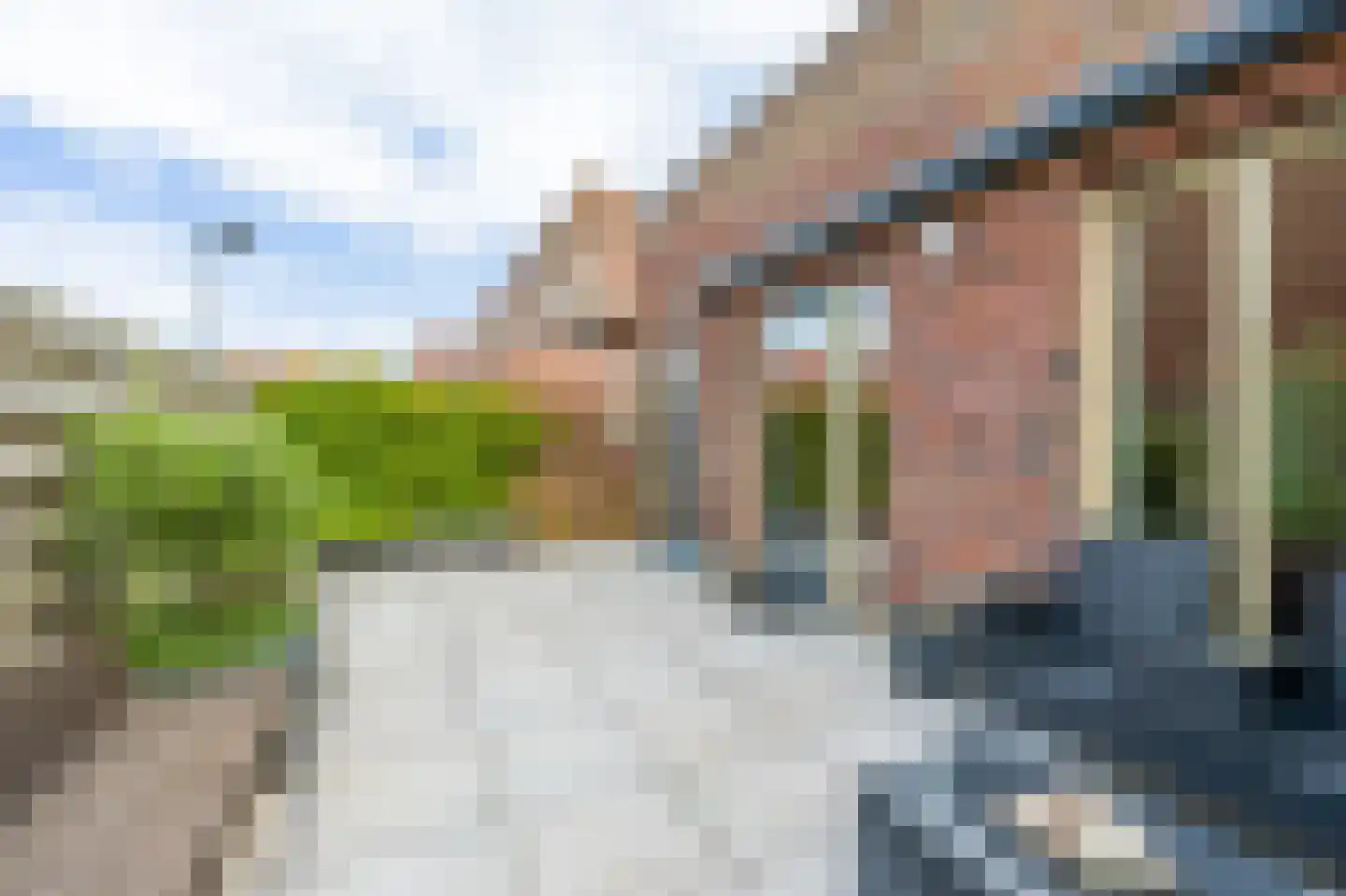 Parnassia 397 Katwijk thumbnail 8