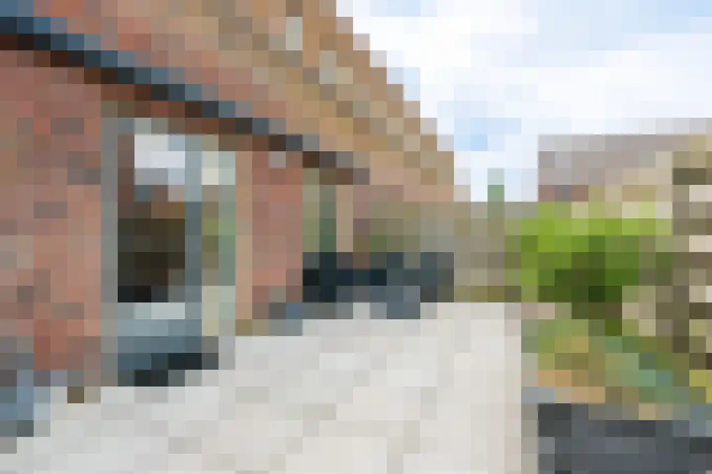 Parnassia 397 Katwijk thumbnail 9