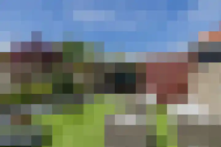 Parnassia 4 Katwijk thumbnail 12