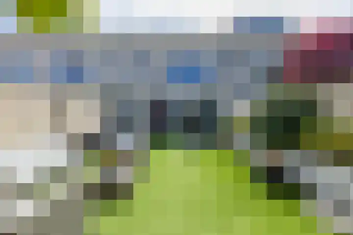 Parnassia 4 Katwijk thumbnail 15