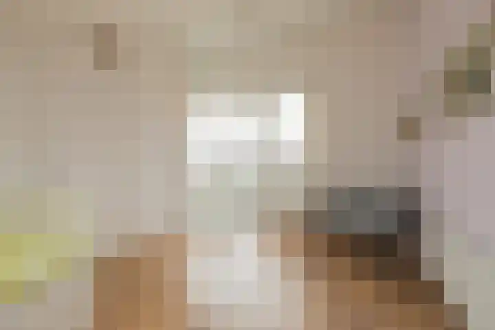 Parnassia 4 Katwijk thumbnail 25