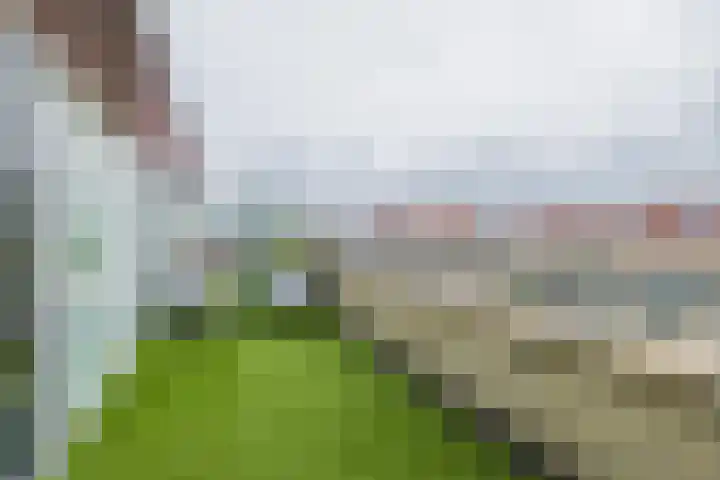 Parnassia 4 Katwijk thumbnail 27