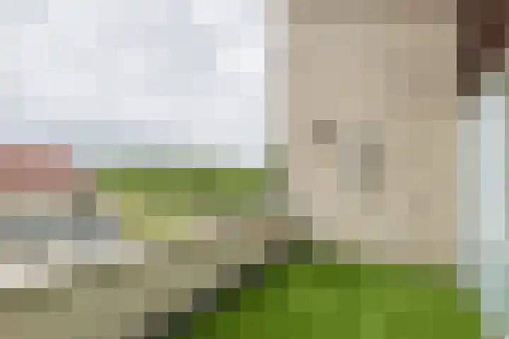 Parnassia 4 Katwijk thumbnail 28