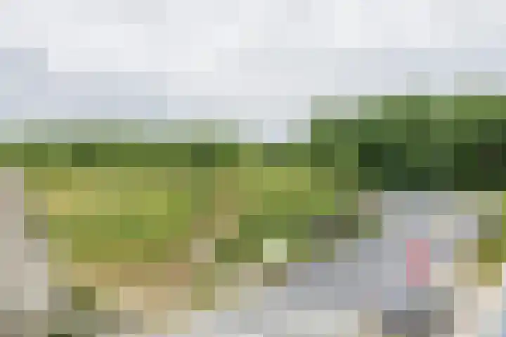 Parnassia 4 Katwijk thumbnail 29