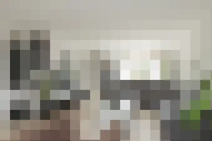 Parnassia 4 Katwijk thumbnail 7