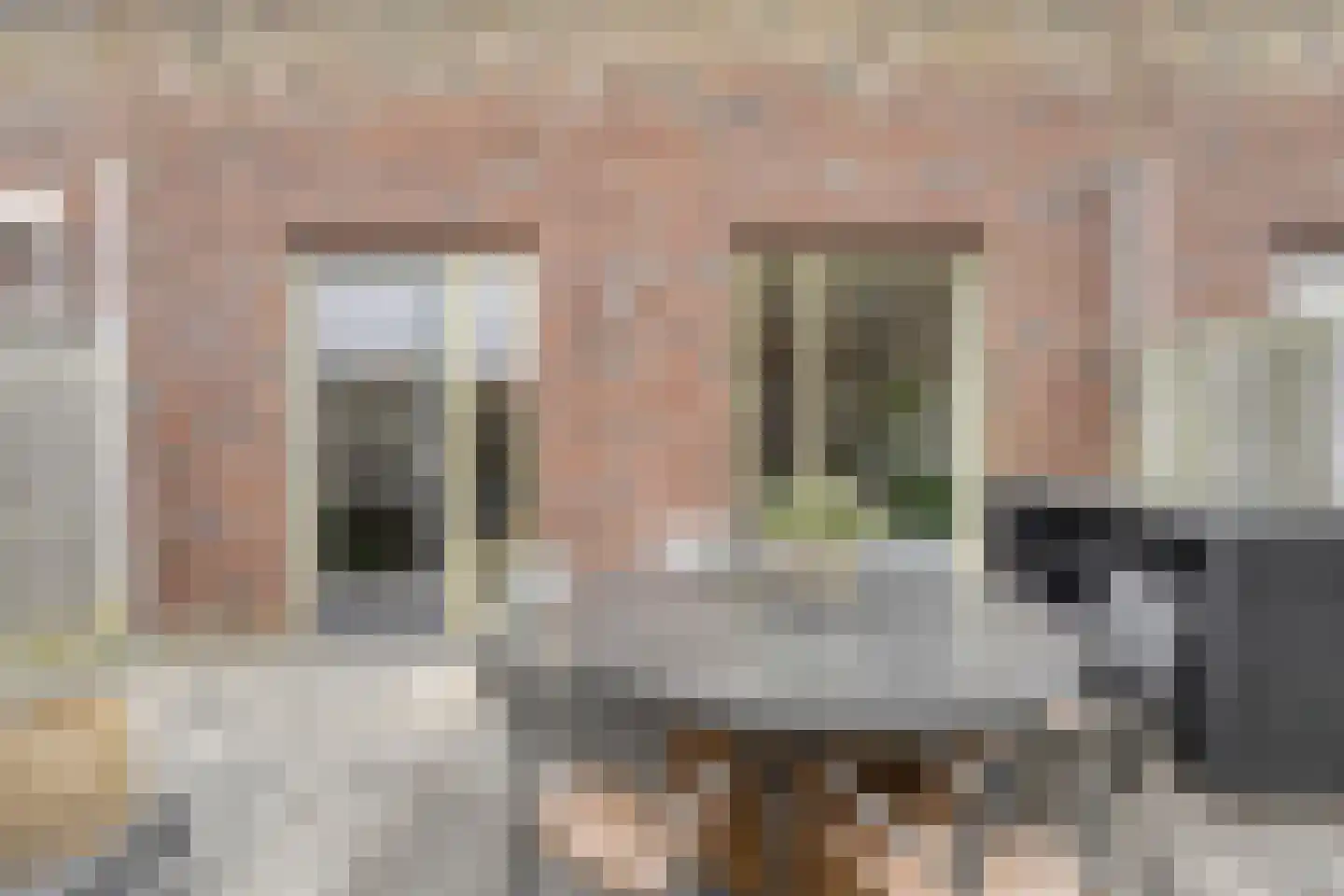 Parnassia 407 Katwijk thumbnail 21